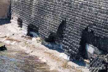 Risanamento delle antiche murature della villa comunale: approvato lo studio di fattibilità - TraniViva
