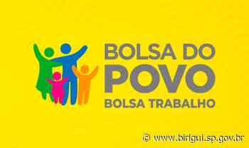 Birigui tem 100 vagas abertas para o programa 'Bolsa Trabalho' com auxílio de R$ 540 - Prefeitura de Birigui
