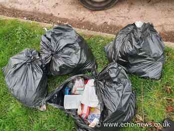 Basildon shake-up could end weekly bin collections - Echo