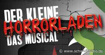 Der kleine Horrorladen - Zahnarzt trifft auf fleischfressende Pflanze - schwulissimo