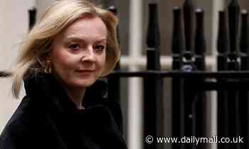 Liz Truss hopes to defuse tensions over Ukraine with a dash to the Kremlin in a bid to broker a deal - Daily Mail
