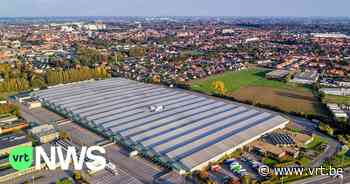 REO-veiling in Roeselare wil fuseren met veiling in Hoogstraten in Antwerpen: "Onze producten vullen elkaar aan" - VRT NWS