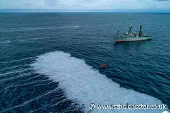 Mass swarm of dead fish in Atlantic prompts French inquiry - St Helens Star