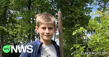 15 weesboompjes zoeken eigenaar in Mol: al meer dan 500 inwoners stelden zich kandidaat - VRT NWS