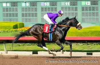 Promising Sir London makes Kentucky Derby trail debut in Lewis - Horse Racing Nation