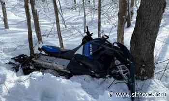 Woman hospitalized after crashing snowmobile into tree along trail in Clearview - simcoe.com