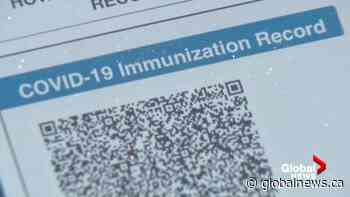 Calgary businesses react to potential lifting of Restrictions Exemption Program | Watch News Videos Online - Globalnews.ca