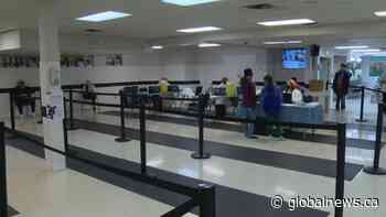 Partnership between Indigenous and Sikh communities in Calgary tackles COVID-19 vaccine hesitancy - Globalnews.ca