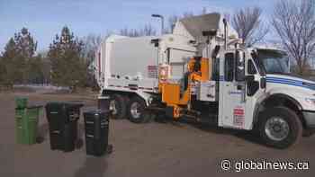 City of Edmonton's cart program one year later | Watch News Videos Online - Globalnews.ca