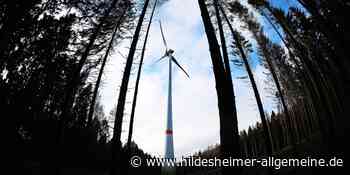Erste Kommune im Kreis Hildesheim sucht konkret nach Standorten für Windräder im Wald - www.hildesheimer-allgemeine.de