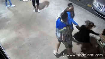 Suspects Sought After Video Shows Woman Attacked Outside Off the Wall in Davie