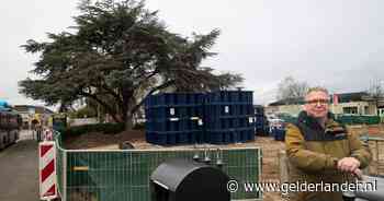 Dankzij René blijft exotische boom behouden voor Duiven: 'Respectvol protest loont' - De Gelderlander