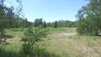 Boom geeft gunstig advies voor sanering Kleiputten - ATV