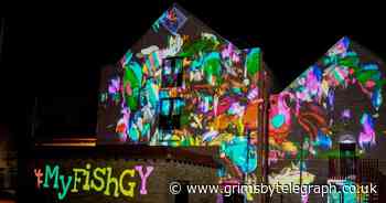 Artists create the world's biggest virtual shoal of fish in Grimsby - Grimsby Live