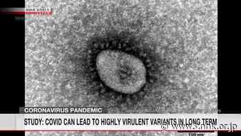 Study: Coronavirus can lead to highly virulent variants in long term - NHK WORLD