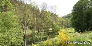 Lohmar: Naafbachtal leidet unter stark gewachsenen Besucherzahl - Kölner Stadt-Anzeiger