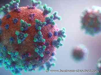 Designed vaccines for all coronavirus variants, say Indian scientists - Business Standard