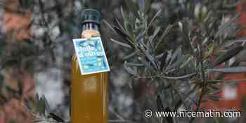 L'huile des Fleurs de Grasse enfin mise en bouteilles - Nice-Matin