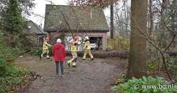 Overlast en schade door storm in Brabant, code geel tot middernacht - BD.nl