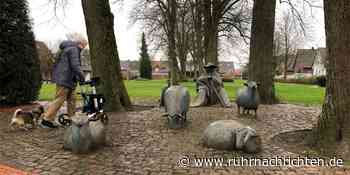 Baustart: Owweringpark lockt bald als grüne Oase mit Boule und Trampolin | Stadtlohn - Ruhr Nachrichten