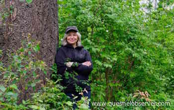 FOREST INK: Making forest policy changes can be painfully slow – Quesnel Cariboo Observer - Quesnel - Cariboo Observer