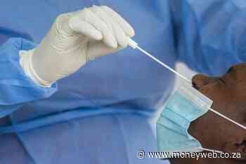 Worldwide coronavirus cases cross 391.78m - Moneyweb