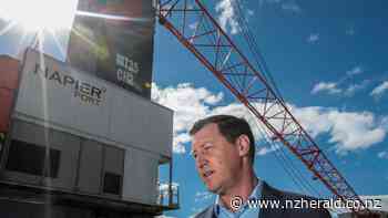 Covid-19 coronavirus: Napier Port surveillance tests workers for Covid onsite - New Zealand Herald