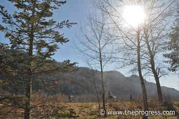 Fraser Valley forecast: Sunny for most of next week – Chilliwack Progress - Chilliwack Progress