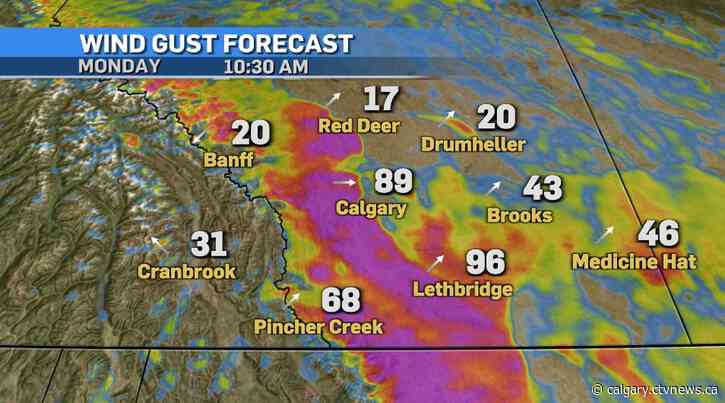 Warm but windy week, including double-digit highs