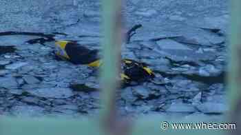 Rescued snowmobilers possibly facing charges