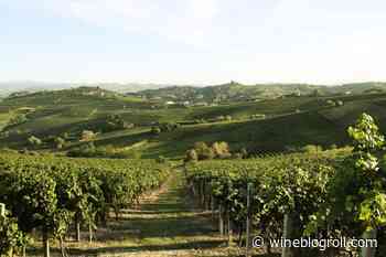 Brachetto d'Acqui DOCG - Territorio e vini (non solo dolci!) da riscoprire. - Wine Blog Roll - Il Blog del Vino Italiano - Francesco Saverio Russo