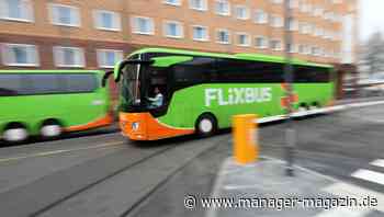 Junge Unternehmer zieht es nach Brasilien