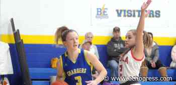 Basketball roundup: Brandon-Evansville boys and girls beat Ortonville, Seniors lead WCA to win over Hillcrest - Alexandria Echo Press