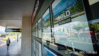 'It felt pretty hopeless': Young home buyers despair of Northern Rivers' prices