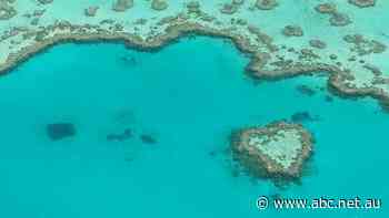 Sunshine at last for tourism industry with international border set to reopen