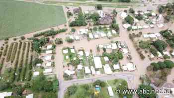 Insurance premiums could soon be halved in Australia's north, but key players say they're still in the dark