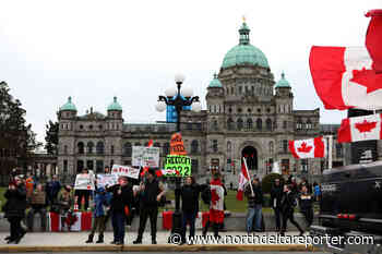 Trucks, crowds at Canada anti-vaccination protests exaggerated - North Delta Reporter