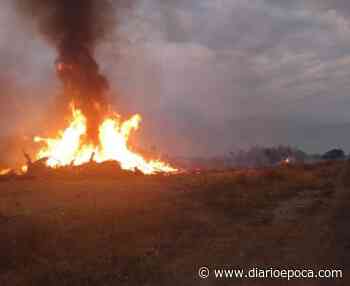 San Martín, San Miguel y Paso de los Libres, las más afectadas en enero - diarioepoca.com