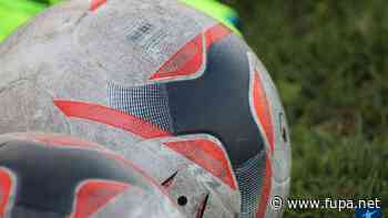 Bergstraße: Rückrunde digital besprechen - FuPa - FuPa - das Fußballportal