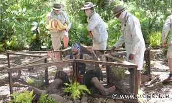 „Dschungelcamp“: Filip Pavlović schnappt sich nach Krokodilangriff die Dschungelkrone - TV Digital
