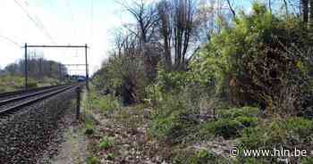 Omgevingsvergunning voor ontbrekende stukje fietsostrade | Essen | hln.be - Het Laatste Nieuws