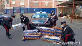 Dal Barese a Civitavecchia per festeggiare con i fuochi il compleanno del parente detenuto: denunciati in sei - BariToday