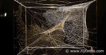 The Art World’s Amazing Spider Man