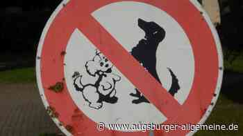 Beim "Corona-Spaziergang" am Montag sind Hunde nicht mehr erlaubt - Augsburger Allgemeine