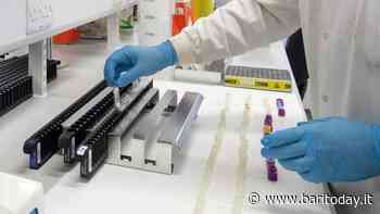 Covid e variante Omicron 2 in Puglia: individuato primo caso a Bari - BariToday