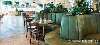 Top 10: Romantische Restaurants in Wien