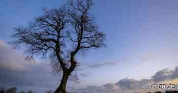Wetter in Bonn und Region: Wind und viele Wolken, wenig Sonne - General-Anzeiger Bonn