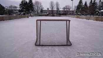 Black hockey players in Alberta call for more inclusion in the sport