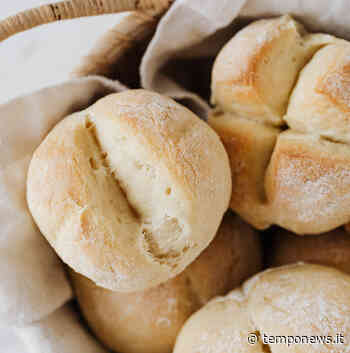 Carpi non spreca, 28 tonnellate di solidarietà - COOPERATIVA RADIO BRUNO srl