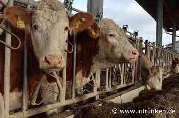 Was, wenn der Bauer Corona hat?